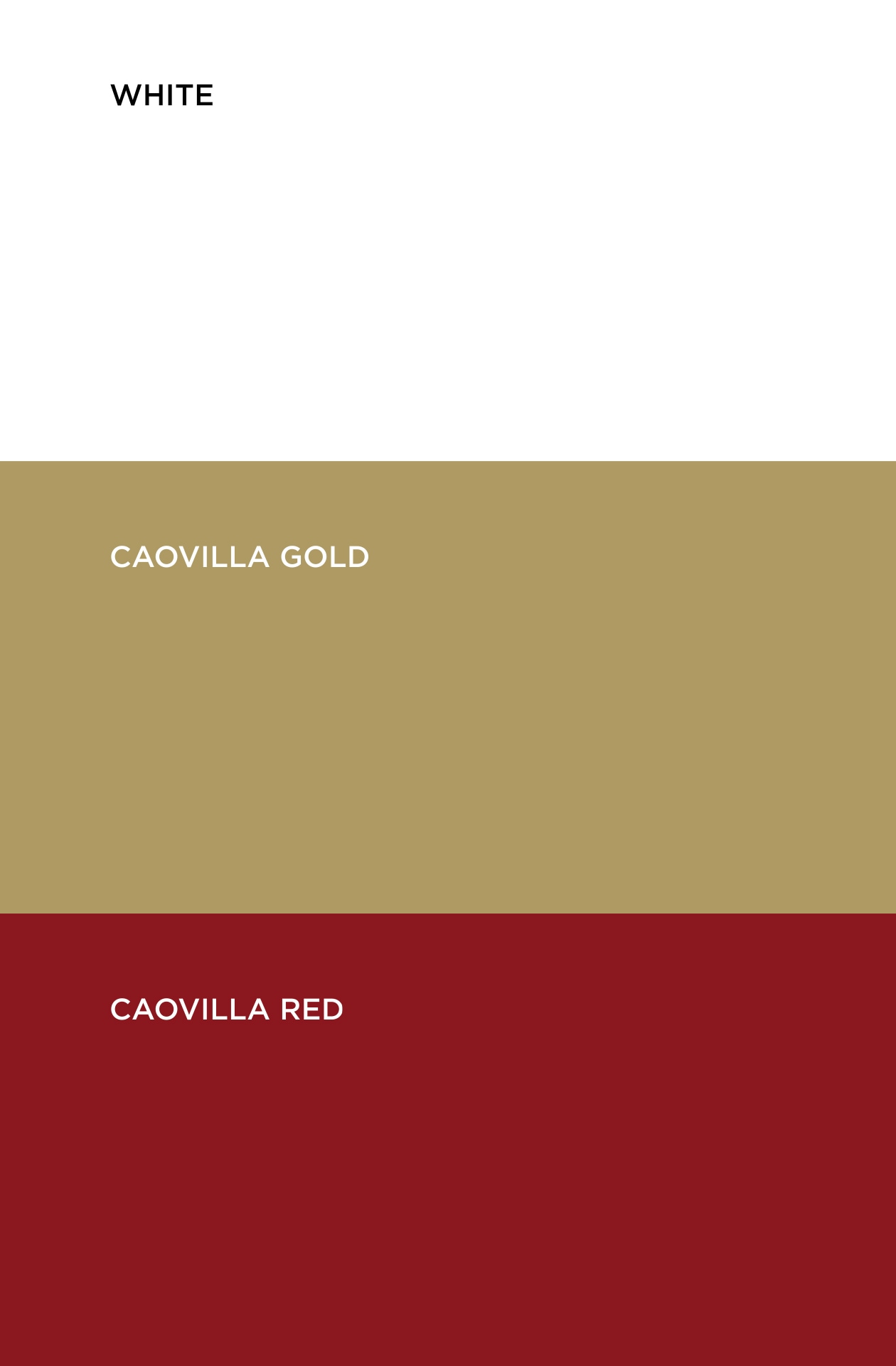 Color palette for new René Caovilla e-commerce website